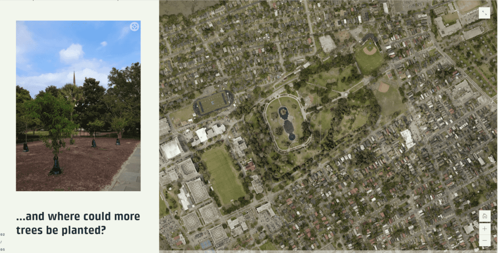 where trees could be planted