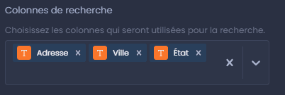 Capture d'écran montrant colonnes de recherche dans CartoVista lors de personnalisation l’interactivité des couches