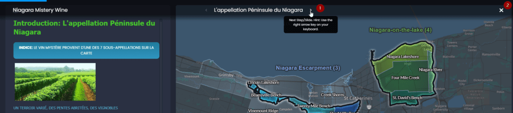 Screenshot showing slide presentation next arrow in CartoVista when navigate through presentation slides