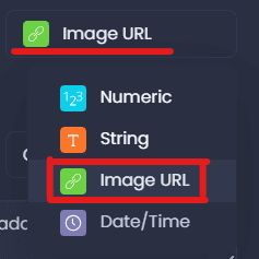 Screenshot showing image url in CartoVista when data types in cartovista