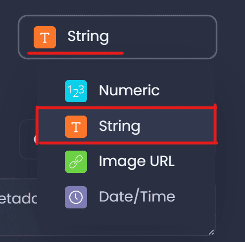 Screenshot showing string in CartoVista when data types in cartovista