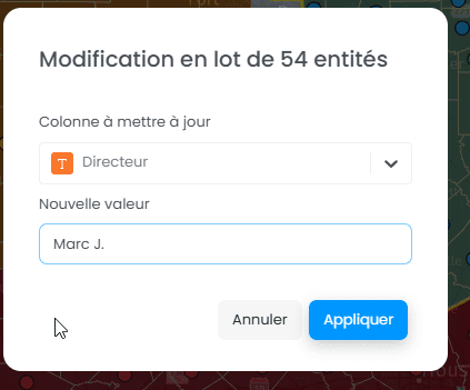 Capture d'écran montrant image dans CartoVista lors de modification plusieurs entités simultanément (édition en lot)