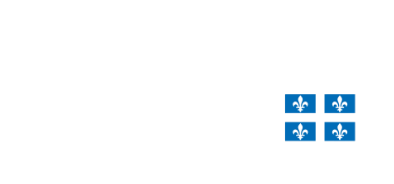 Travail, Emploi et Solidarité sociale Québec